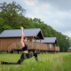 Mujer haciendo yoga frente a Ackerlodge en Ackerlodges Ruinerwold BV, Países Bajos, con cabañas de fondo.