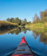Paseo en kayak por un río tranquilo entre juncos y árboles en un parque vacacional con glamping.