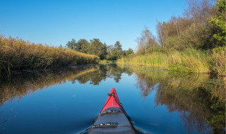 Paseo en kayak por un río tranquilo entre juncos y árboles en un parque vacacional con glamping.