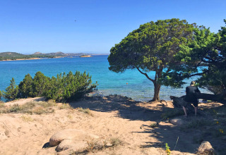 Strandudsigt fra feriepark med glamping, sand, buske, fyrretræer og blått hav på en solrig dag.