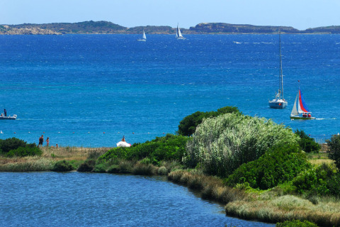 View of a glamping holiday park by the sea with green bushes, people on the beach, and sailboats on the water.