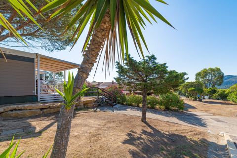 View of a holiday park offering glamping, featuring a terrace, palm trees, and sunlit natural surroundings.