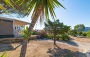 Udsigt over feriepark med glamping, terrasse med solsejl og palmer i solrigt klima og naturlige omgivelser.