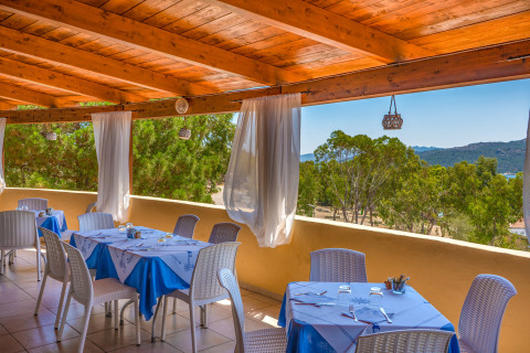 Terrazza coperta con tavoli apparecchiati di blu, sedie bianche e vista panoramica sul parco.