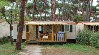 SunLodge Mobile Home Redwood en Camping Village Capo d'Orso, Italia, rodeado de altos pinos verdes.