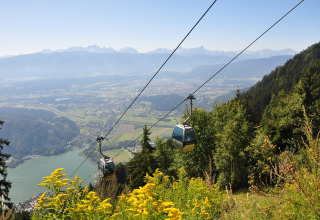Cable cars traveling above a lush valley and lake, perfect for glamping holidays and stunning outdoor views.