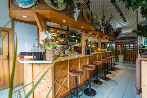 Acogedora zona de bar en un parque vacacional con glamping, decoración de madera y taburetes altos.