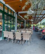 Terraza exterior de cafetería en parque vacacional con plantas y huéspedes, ideal para experiencias glamping.