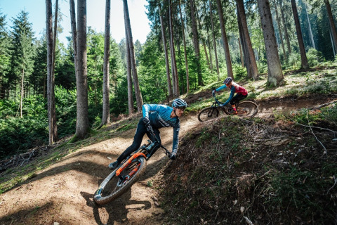 Dos ciclistas de montaña recorren un sendero boscoso cerca de alojamientos glamping en un parque vacacional.