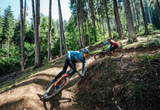 To personer mountainbiker gennem en grøn skov på en solrig dag i nærheden af en glamping-feriepark.