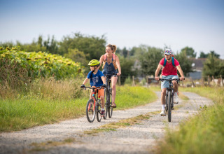 Familie cykler sammen på en grusvej omgivet af grønt ved Huttopia Saumur i Pays de la Loire, Frankrig.