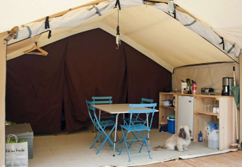Safari-tent met moderne keuken, blauwe eetstoelen en een kleine hond liggend op de vloer ervoor.
