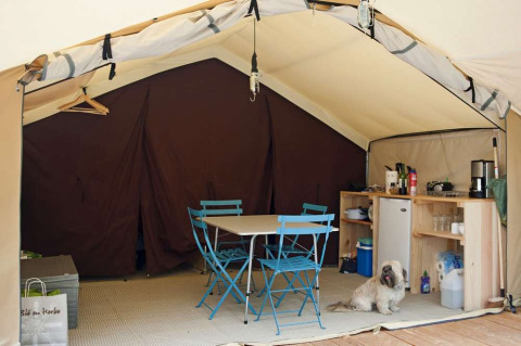 Safari tent interior with a small kitchen, dining table with blue chairs, and a dog relaxing on the floor.