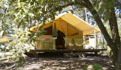 A cozy safari tent with a porch, set among leafy trees, offering a comfortable glamping experience.
