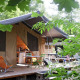 Safari-teltet Toile&Bois Sweet i naturen med terrasse, stole og bord, omgivet af grønne blade.