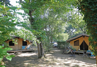 Toile&Bois safari tent Sweet in een bosrijke omgeving met fietsen en stoelen buiten de tenten.