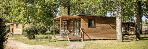Houten chalets tussen bomen bij Chalet Evasion, comfortabele glampingaccommodatie voor natuurliefhebbers.