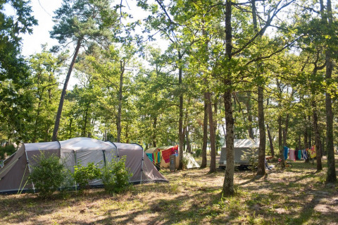 Camping en el bosque con tiendas, ropa colgada y luz solar en Village Huttopia Lac de Rillé, Centro-Valle del Loira.