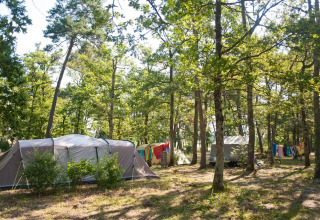 Camping en el bosque con tiendas, ropa colgada y luz solar en Village Huttopia Lac de Rillé, Centro-Valle del Loira.
