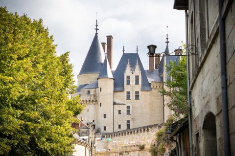 Vista de un castillo histórico con torres y muros de piedra desde una calle en Centre-Val de Loire, Francia.