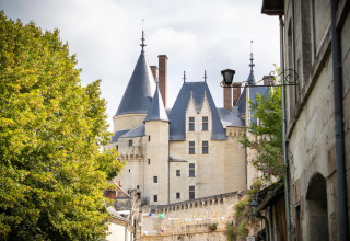Vista di un castello storico con torri e mura di pietra da una via in Centre-Val de Loire, Francia.