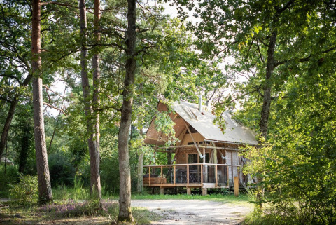 En hyggelig træhytte midt i en skov ved Village Huttopia Lac de Rillé, Centre-Val de Loire, Frankrig.