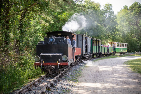 Kleine stoomtrein rijdt door het bos met bezoekers in Village Huttopia Lac de Rillé, vakantiepark in Frankrijk.