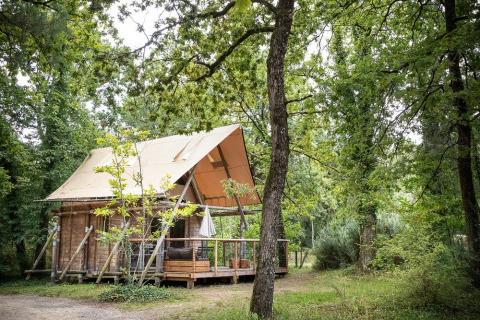 Cabane en bois avec terrasse sous les arbres au Village Huttopia Lac de Rillé, Centre-Val de Loire, France.
