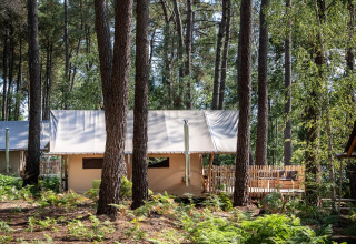 Tenda glamping tra pini al Village Huttopia Lac de Rillé, parco vacanze in Centre-Val de Loire, Francia.
