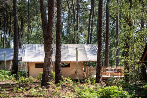 Glamping-Zelt zwischen Kiefern in Village Huttopia Lac de Rillé, Ferienpark in Centre-Val de Loire, Frankreich.