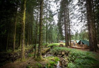 Un campamento de tipis con grandes tiendas verdes y mesas de picnic junto a un arroyo en un bosque denso.