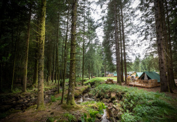 Un campamento de tipis con grandes tiendas verdes y mesas de picnic junto a un arroyo en un bosque denso.