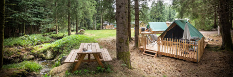 Tienda tipi sobre plataforma de madera en el bosque, con mesa de picnic y arroyo cercano, ideal.