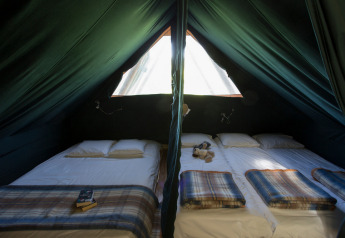 Interior view of a Cahutte safari tent featuring two beds, plaid blankets, and sunlight through a window.