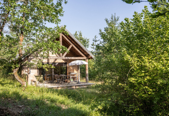 Cabane en bois chaleureuse avec terrasse et parasol, nichée dans la verdure et entourée d’arbres.