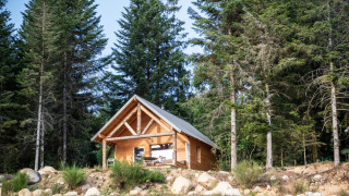 Cabaña de madera rústica en medio del bosque, rodeada de pinos y naturaleza ideal para desconectar.