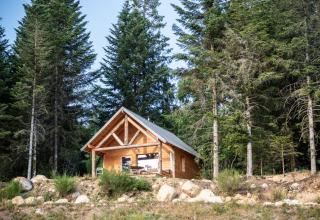 Knusse houten blokhut in een rustig bos, omringd door dennenbomen, ideaal voor een relaxte natuurvakantie.