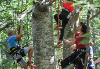 Kinderen en volwassenen klimmen in bomen met harnassen en touwen in Village Huttopia Dieulefit, Frankrijk.