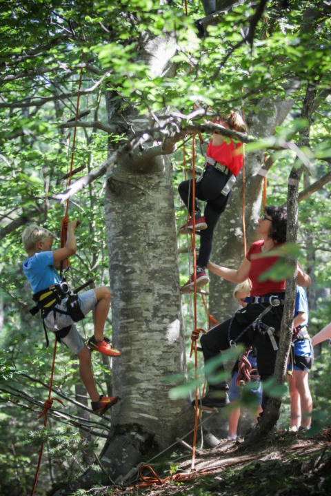 Niños y adultos escalan árboles con arneses y cuerdas en el Village Huttopia Dieulefit, Auvergne-Rhône-Alpes.