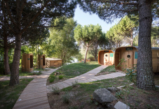 Wooden cabins and boardwalks among pine trees at Huttopia Dieulefit holiday park, Auvergne-Rhône-Alpes, France.