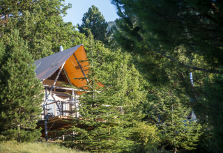 Een glampinghut tussen de dennen op Village Huttopia Dieulefit, Auvergne-Rhône-Alpes, Frankrijk.