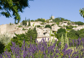 Zicht op lavendelstruiken en een dorp op een heuvel in de Auvergne-Rhône-Alpes, Frankrijk.