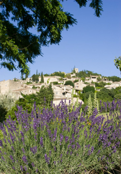 Vista de arbustos de lavanda con un pueblo en lo alto de una colina en Auvernia-Ródano-Alpes, Francia.