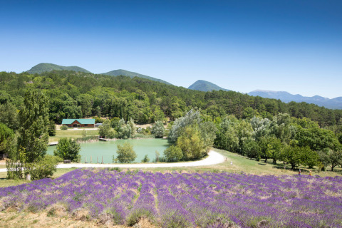 Vista panorámica de Village Huttopia Dieulefit en Auvergne-Rhône-Alpes, Francia, con campos de lavanda y montañas.