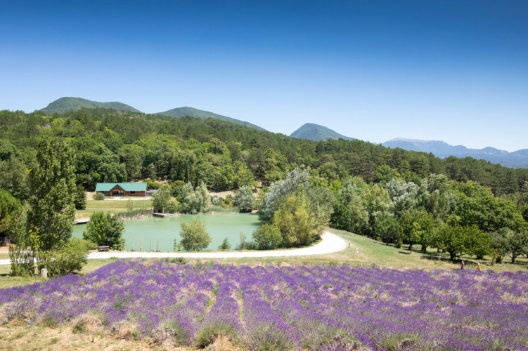 Blick auf das Village Huttopia Dieulefit in Auvergne-Rhône-Alpes, Frankreich, mit Lavendelfeld und Bergen.