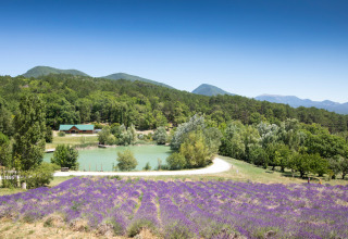 Vue panoramique du Village Huttopia Dieulefit en Auvergne-Rhône-Alpes, France, avec champs de lavande et montagnes.