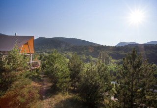 Zonnig landschap met dennenbossen aan Village Huttopia Dieulefit vakantiepark in Auvergne-Rhône-Alpes, Frankrijk.