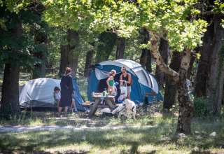 Mensen kamperen in het bos in Village Huttopia Dieulefit, Auvergne-Rhône-Alpes, Frankrijk, met tenten en picknicktafel.