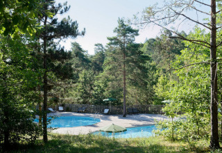 Swimmingpool omgivet af skov og liggestole på Village Huttopia Lanmary feriepark, Nouvelle-Aquitaine, Frankrig.