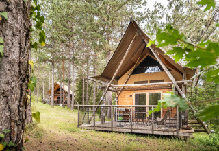 Træhytter blandt fyrretræer i Village Huttopia Lanmary, en feriepark i Nouvelle-Aquitaine, Frankrig.